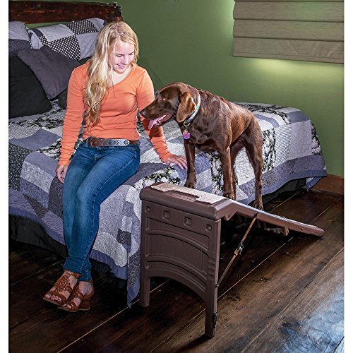 ramp for dog to get on bed