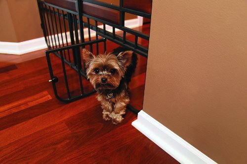 best pet gate for small dogs