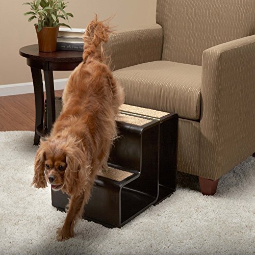 step stools for dogs