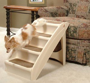 doggie steps for small dogs