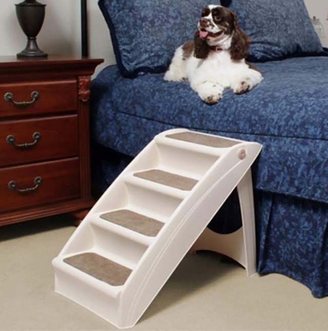 Steps for Dogs to Get Into Bed - GatesAndSteps.com