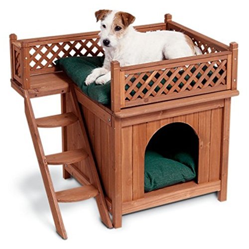 cool dog beds for small dogs